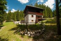 Apartments Villa Vesna Pokljuka - Ferienwohnung Goreljek