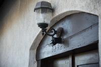 Appartamento Superior