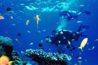 Appartamento con Terrazza