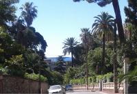 Holiday or Congress, Centre - Beach - B&B Cannes
