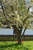 Wiroth B&B Hannasvägen 41, Eget badrum, Aircondition - Ferienwohnung Hammenhög