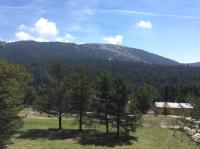 Le Cytise - B&B Caille