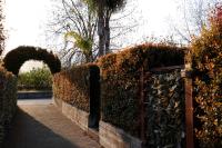 Orchidea apartments - B&B Mascali