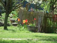 Landhof zur Meierei - B&B Penzlin