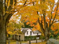 Whistler's Inn - B&B Lenox