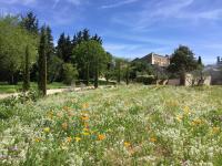 Domaine Les Martins - Gordes - B&B Gordes