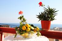 Alvanita Apartments - Ferienwohnung Ulcinj