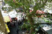 Duplex en plein centre - B&B