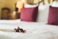 Deluxe Doppelzimmer