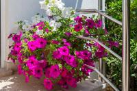 Apartments in Villa TOP TROGIR - B&B
