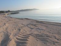 Apartment Carmen - B&B Pula