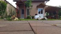 Route 66 - B&B
