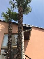 Apartman Belle Maison - B&B