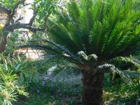 Stella Marina Sea & Sun - B&B Cefalú