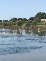 Quietovivere - B&B Lido di Spina