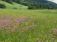 Appartamento Monolocale