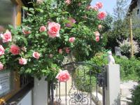 Anna's Home - Ferienwohnungen - Bed and Breakfast Ratsch an der Weinstraße