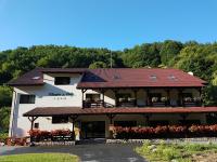Pensiunea Floare De Colt - Ferienwohnung