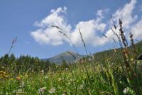 Rifugio Serot - Bed and Breakfast Roncegno
