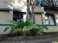 Boomhuisie - B&B Komatipoort