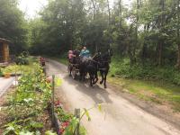 Ferienhaus Am Lutherweg - B&B Seeburg