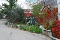 Apartments Paunovic - Chambres d’hôtes Makarska