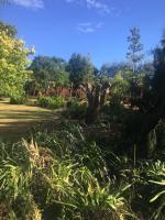 Camera King Superior 