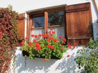 Apartamento Estudio