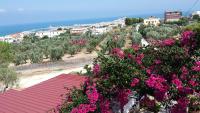 Villa Lucrezia Trilo - Bed and Breakfast