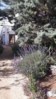 Appartamento con Terrazza