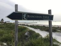 Rhincodon Typus, Hotels - Holbox Island