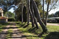 Casa vacanze Rinsacca - B&B Piombino