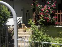House by the River - B&B