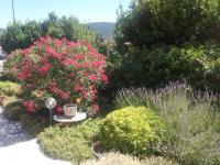 Apartmani Ana - B&B Cres