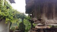 El Requexu de Cervera - Bed and Breakfast