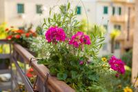 Luxury Apartment Luce - B&B Split