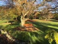 B&B Kerikeri - Kerikeri Garden Homestead - Bed and Breakfast Kerikeri