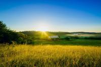 Willa SPAcja - B&B Wężówka