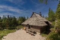 B&B Stahovica - Chalet Pehta Velika Planina - Bed and Breakfast Stahovica