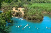 Dimitra & Deslina Luxury Αpartments - Ferienwohnung Georgioupolis