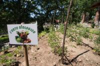 Appartamento con Vista Mare