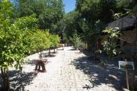 Residenza Lombardi - B&B Ascea