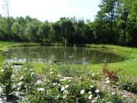 Chalets du pontot - Ferienwohnung Le Fay