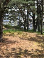 Apartament Ustecka Ostoja Na Wydmie - Bed and Breakfast