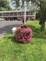 Cozy Corner Motel - Bed and Breakfast