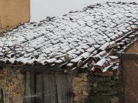 Apartment - Erdgeschoss