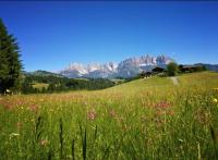 Hof Hintererb - B&B Kitzbühel