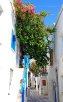 Bougainvillea House - B&B Parikia