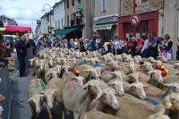 Huis met 3 Slaapkamers