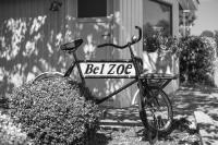 Bel Zoe - B&B Tjele